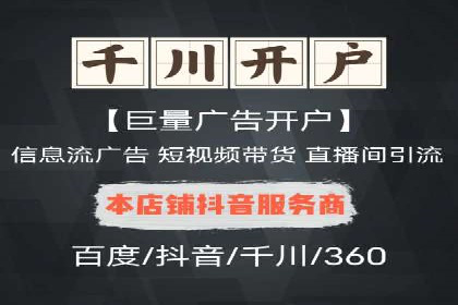 SEM公司案例研究：数据驱动营销策略